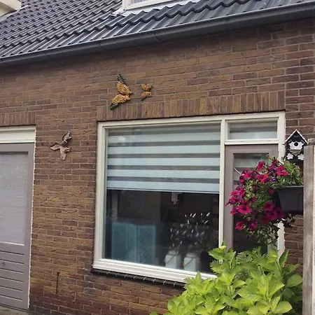 Zomerhuis Hilster-koper Hébergement de vacances *