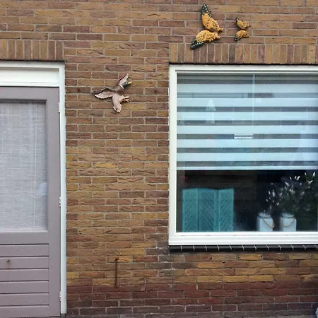 Zomerhuis Hilster-koper * Egmond aan Zee