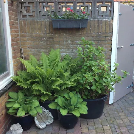 Zomerhuis Hilster-koper Hébergement de vacances